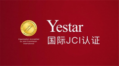 2020全球星粉节：Yestar艺星