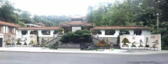 深圳花展“盆景大赛及赏